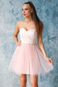 Платье мини с корсетным верхом из кружева с пышной юбкой пудрового цвета купить в интернет-магазине